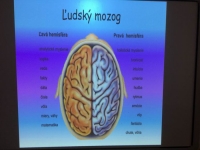 Ľudský mozog - malý zázrak