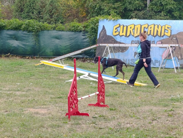 Deti z ŠKD na návšteve v klube Eurocanis!