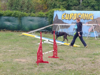 Deti z ŠKD na návšteve v klube Eurocanis!
