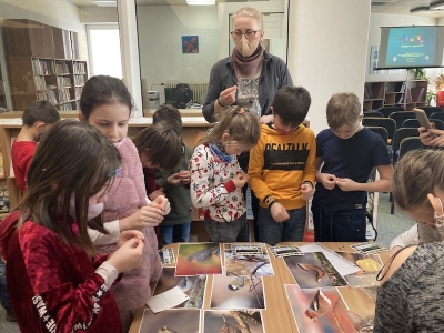 Vtáčie záhrady v zime