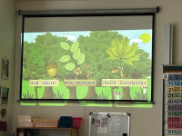 Erasmuslife continue...